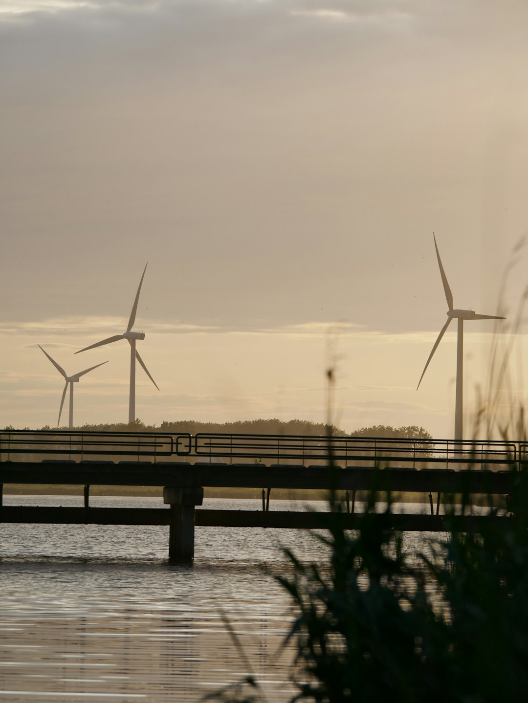 Oficina de EcoMex Energía
